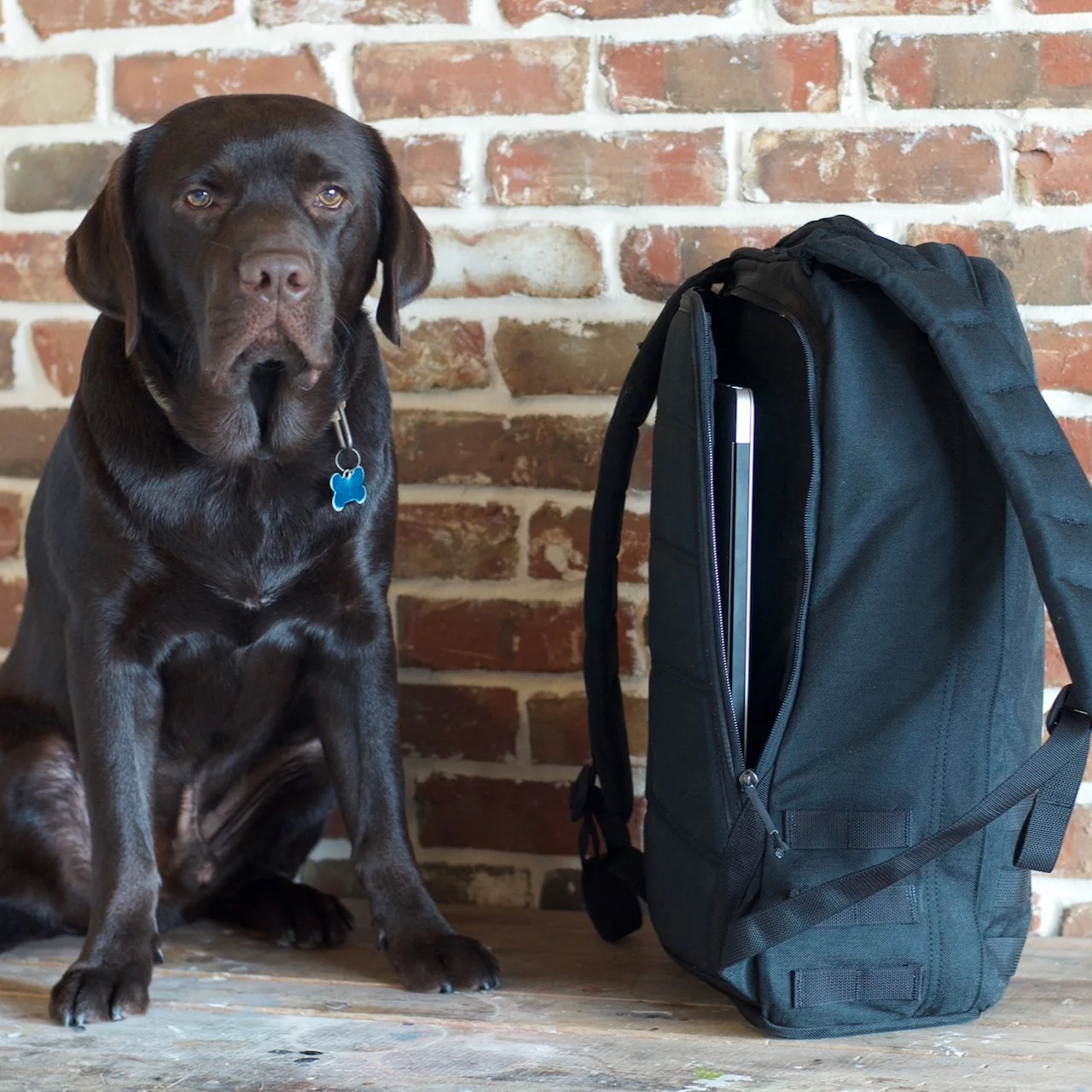 GR1 USA - Cordura - Image 3